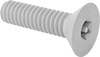 Flat Head Screws