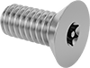 Tamper-Resistant Torx Stainless Steel Flat Head Screws