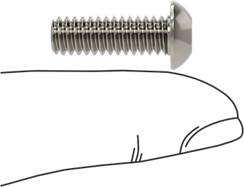 Image of Product. Side1 orientation. Contains SizingReference. Stainless Steel Tamper-Resistant Button Head Torx Screws, 1/4"-20 Thread Size, 3/4" Long.