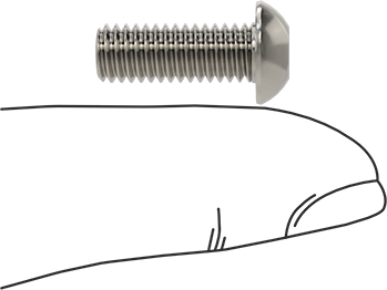 Image of Product. Side1 orientation. Contains SizingReference. Stainless Steel Tamper-Resistant Button Head Torx Screws, M6 x 1.00mm Thread, 16mm Long.