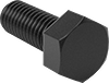 Hex Head Screws