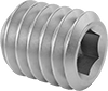 Set Screws