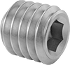 Stainless Steel Cup-Tip Set Screws