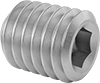 Stainless Steel Cup-Tip Set Screws