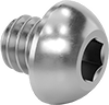 Rounded Head Screws