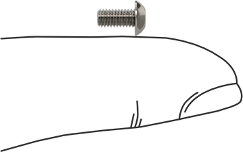 Image of Product. Side1 orientation. Contains SizingReference. 18-8 Stainless Steel Button Head Hex-Drive Screw, M3 x 0.5 mm Thread Size, 6 mm Long.