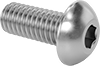 Rounded Head Screws