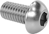 Rounded Head Screws