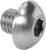 Stainless Steel Button Head Hex-Drive Screws