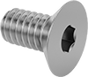 Flat Head Screws