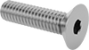 Flat Head Screws