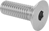 Flat Head Screws