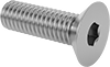 Flat Head Screws