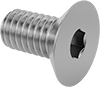 Flat Head Screws