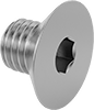 Flat Head Screws