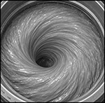 Image of ProductInUse. Vortex Mixing Motion. Top orientation. Contains Border. Paint Shakers. Low-Aeration Electric Paint Shakers.