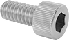 Socket Head Screws