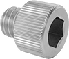 Socket Head Screws