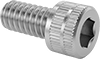 Stainless Steel Socket Head Screws