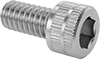 Socket Head Screws