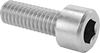 Left-Hand-Thread Stainless Steel Socket Head Screws