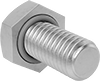 Hex Head Screws