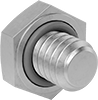 Hex Head Screws