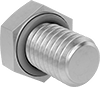 Hex Head Screws