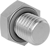 Hex Head Screws