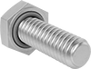 Hex Head Screws