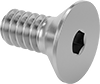 Flat Head Screws