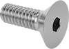 Flat Head Screws