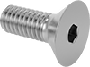 Flat Head Screws
