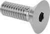 Flat Head Screws