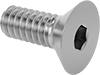 Flat Head Screws