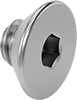 Stainless Steel Hex-Drive Flat Head Screws