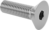 Flat Head Screws