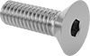 Flat Head Screws