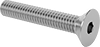 Flat Head Screws
