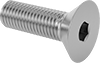 Flat Head Screws