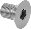Flat Head Screws