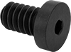 Low-Profile Steel Socket Head Screws