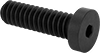 Low-Profile Steel Socket Head Screws
