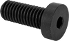 Low-Profile Steel Socket Head Screws