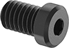 Low-Profile Steel Socket Head Screws