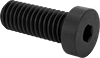 Low-Profile Steel Socket Head Screws
