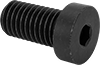 Low-Profile Steel Socket Head Screws