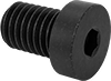 Low-Profile Steel Socket Head Screws