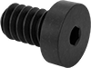 Low-Profile Steel Socket Head Screws
