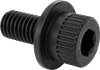 Steel Flanged Socket Head Screws